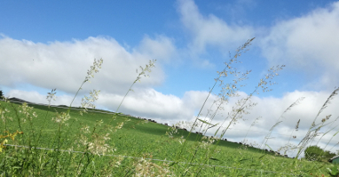 Header billede
